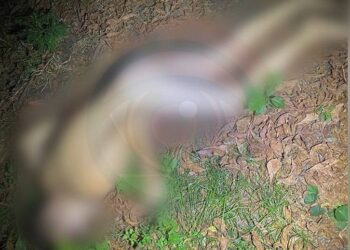 У Дніпрі п’яний вистрибнув із вікна та розбився 
