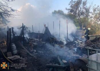 Масштабна пожежа на Дніпропетровщині: загинула домашня худоба 