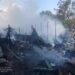 Масштабна пожежа на Дніпропетровщині: загинула домашня худоба 