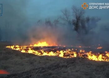 До чого призводить спалювання сухостою?