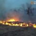 До чого призводить спалювання сухостою?
