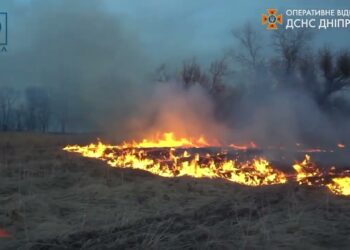 Довічне ув’язнення за підпал сухостою. В ДніпроОВА нагадали про небезпеки спалення сухої трави