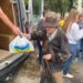 Традиційно щотижня наші волонтери #ФондВілкулаУкраїнськаперспектива та #ФондКрилаБратства прямують до різних районів міста, де видають гуманітарну допомогу вразливим верствам населення, які потерпають через війну
