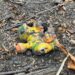 Рашисти обстріляли Зеленодольську громаду Дніпропетровщини, постраждало 9 людей