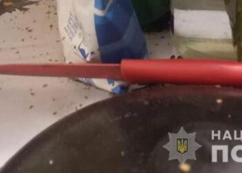 У Кривому Розі жінка намагалася зарізати знайомого