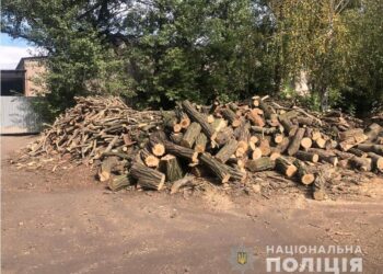 “Заготовили” дров на півмільйона гривень: у Кривому Розі піймали п’ятьох чорних лісорубів 
