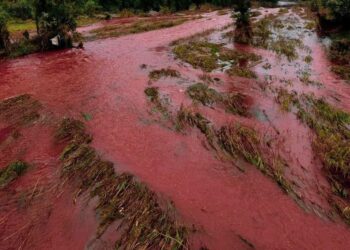 У річці Інгулець почервоніла вода (ФОТО)
