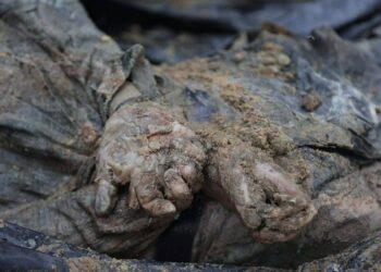 В Ізюмі ексгумували тіло чоловіка з відрізаними геніталіями