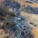 Біля колонії у Дніпрі виявили масштабне небезпечне сміттєзвалище 