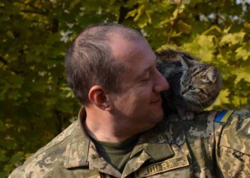 “Чотирилапі друзі хоробрих”: у Дніпрі пройде фотовиставка, присвячена нашим Героям та пухнастикам 