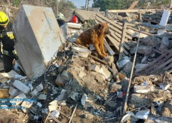 Прокуратура показала фото розбитих ворожими ракетами районів Дніпра 