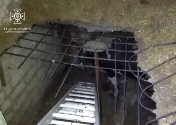 У Новомосковську районі з льоху визволяли корову