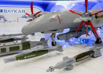 Безпілотники Bayraktar зможуть патрулювати українське небо