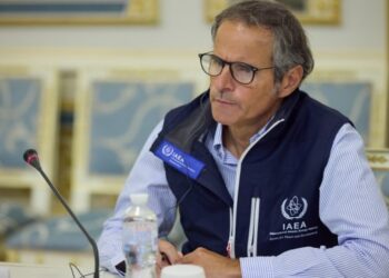 Гендиректор МАГАТЕ наступного тижня відвідає Київ і Москву