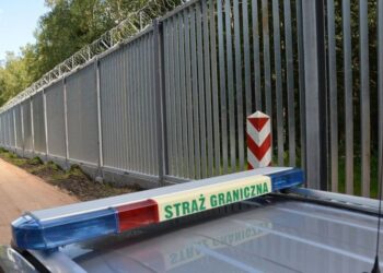 Поляки вже добудували 187 кілометрів стіни на кордоні з Білоруссю