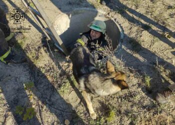 У Новомосковську п’ять рятувальників визволяли песика з глибокої пастки