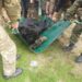 Волонтери врятували контуженого ведмедя з приватного зоопарку біля Лимана (ФОТО)