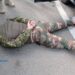 Криворіжанін попався на збуті зброї та боєприпасів