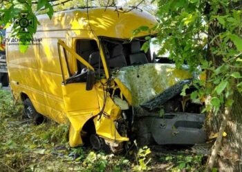 На Дніпропетровщині автівка влетіла в дерево: постраждалого деблокували надзвичайники 