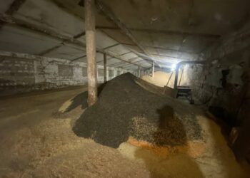 На Дніпропетровщині 59-річний чоловік пограбував склад з врожаєм, де працював охоронцем 