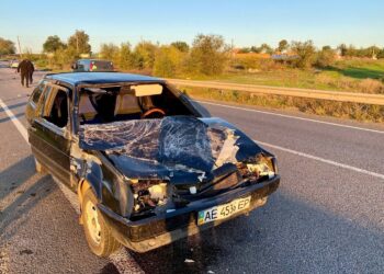 У ДТП на Дніпропетровщині загинули жінка та корова 