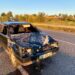 У ДТП на Дніпропетровщині загинули жінка та корова 