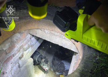 У Дніпрі визволяли собаку, який провалився до глибокого колодязя під час прогулянки із господаркою