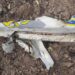 На Полтавщині розбилися українські літаки: що відомо