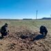 Поліція фіксує наслідки обстрілів Криворіжжя та Нікопольщини (ФОТО)