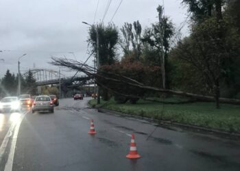На Набережній Дніпра велике дерево впало на контактну мережу