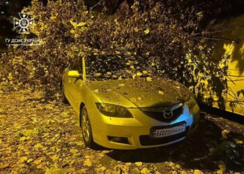 У Дніпрі надзвичайники визволили дві автівки з-під поваленого величезного дерева