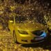 У Дніпрі надзвичайники визволили дві автівки з-під поваленого величезного дерева