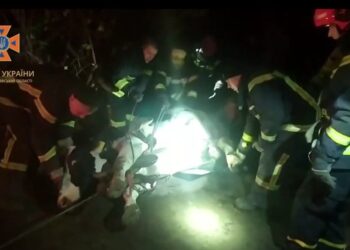 Хвилинка добра: надзвичайники врятували з пастки другу корівку за цей тиждень (ВІДЕО)