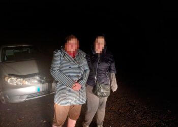 У Павлограді вночі з собаками шукали двох жінок, які пішли по гриби та заблукали у лісі