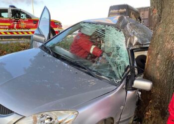На Дніпропетровщині автівка в’їхала у дерево: водія вирізали рятувальники
