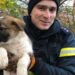 Хвилинка доброти: у Дніпрі шість рятувальників визволяли цуценя з пастки