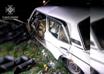 У Новомосковському районі «ВАЗ 2106» врізався у дерево, загинув водій