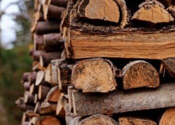 Мешканці Дніпропетровської області можуть замовити дрова через онлайн-магазин