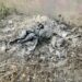 Зранку росіяни знову вгатили по Нікопольщині: поранено жінку 