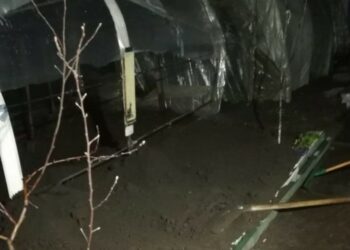 У Кам’янському конфлікт закінчився вбивством