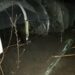 У Кам’янському конфлікт закінчився вбивством