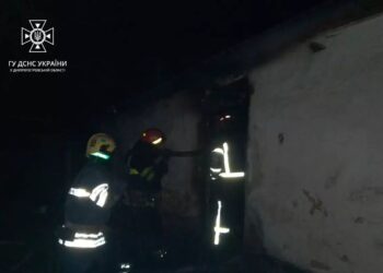 На пожежі у Синельниківському районі загинув власник будинку