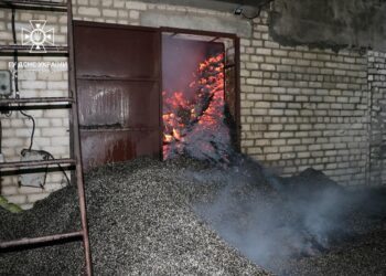 На Дніпропетровщині сталася велика пожежа у покинутій будівлі, забитій лушпинням соняшника (ФОТО)