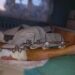 У Дніпрі молодому бійцю врятували життя та кінцівку, яка трималася на шині