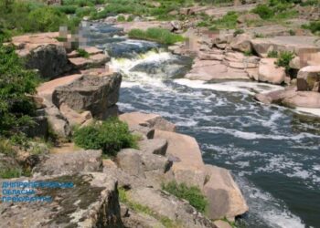 На Дніпропетровщині державі повернуто землі природно-заповідного фонду вартістю майже 500 мільйонів гривень 