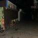 У Дніпрі затримали вуличного грабіжника 
