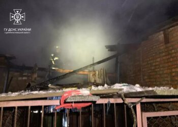 На пожежі у Криворізькому районі загинула корова, ще одна зазнала опіків