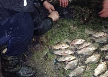У Таромському спіймали двох горе-рибалок