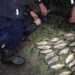 У Таромському спіймали двох горе-рибалок