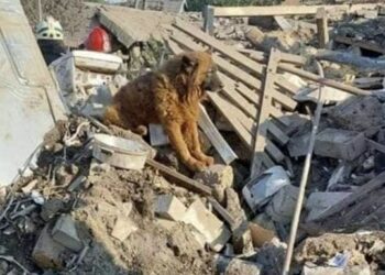 Скільки інфраструктури на Дніпропетровщині знищили рашисти за 11 місяців війни